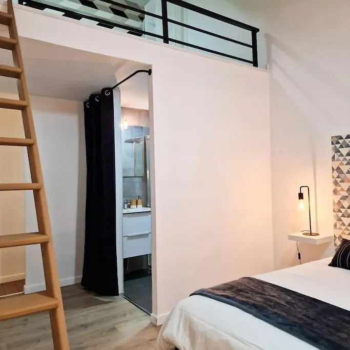 Appartement Grand Loft Avec Terrasse Privee à Saint-Etienne  France