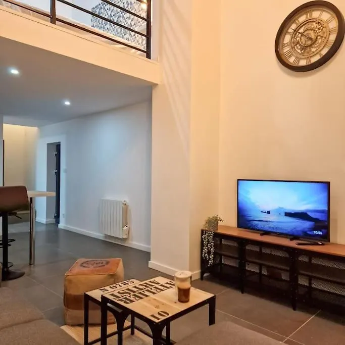 Appartement Grand Loft Avec Terrasse Privee à Saint-Etienne  France
