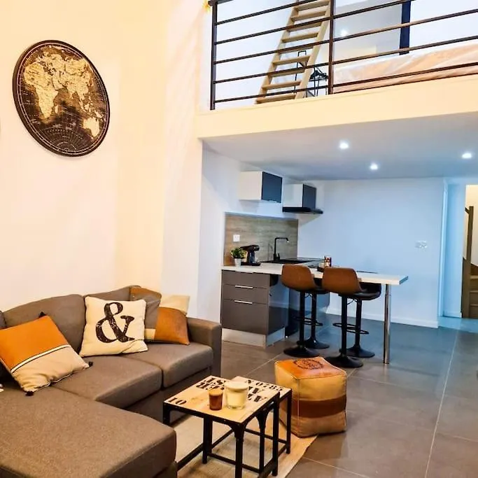 Appartement Grand Loft Avec Terrasse Privee à Saint-Etienne  0*, Saint-Etienne (Loire) France